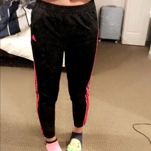 Adidas pink sweats